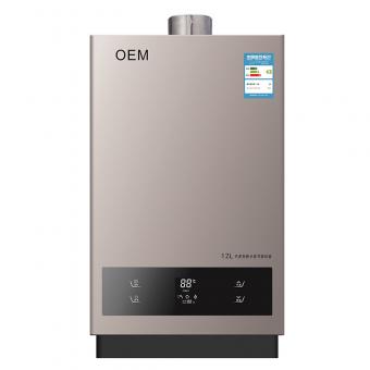 Gas Water Heater Wall Hung 12L Instant Gas Geyser